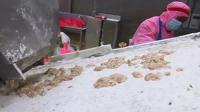 Cortadora de carne fresca en tiras para cliente en Costa Rica