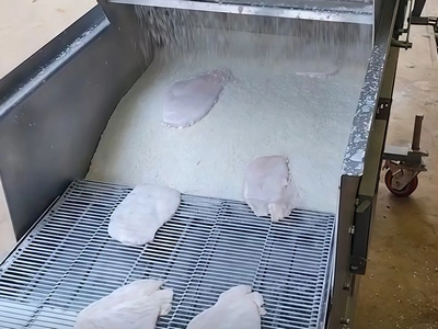 Empanizado de filetes de pollo
